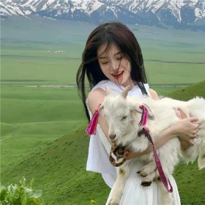 达菲的旅馆麻烦