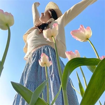 冒险兄弟第一季