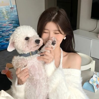 心之所归
