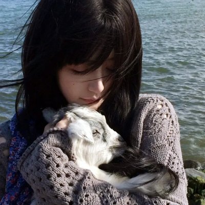 大白鲨之夺命鲨口